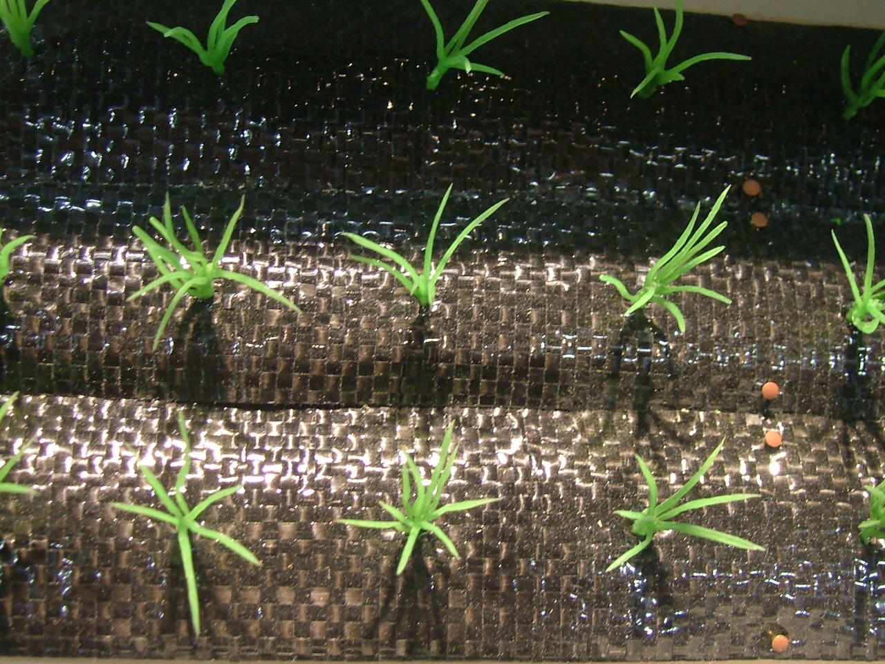 How to install ground cover as weed control fabric