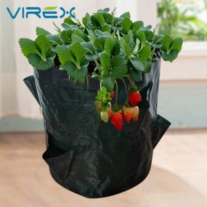 Millor preu a la Xina a l'engròs de material PE de bossa de plantació multifuncional de color verd fosc