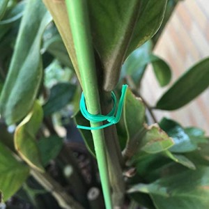 Garden Plant Twist Tie with Cutter Multi-funksionale Garden Twist Lies for Gardening