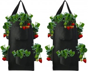 Strawberry Grow Bag Wtih 8 පැත්තේ සාක්කු හුස්ම ගත හැකි මල්ල වියන ලද නොවන රෙදි වගා භාජන