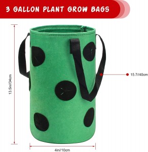 Jordbærdyrkningsposer 3 gallon plantning med 12 vækstposer Plantedyrkningsbøjlepose