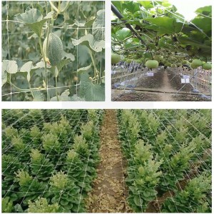 Trellis Nettes 5x15ft Gravis Duty Flexible String Net Garden Plant Vegetabilis Vitis Scandere Growing