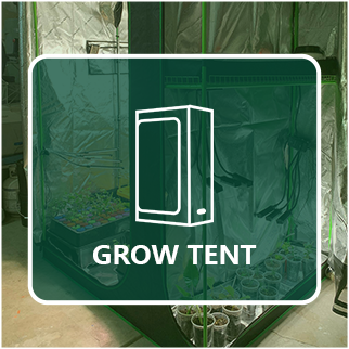 Büyümek çadır