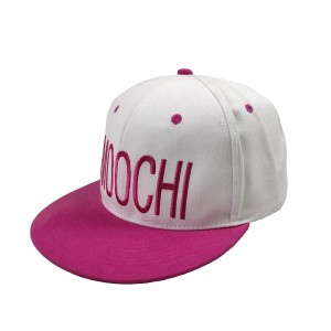 2022 New Fashion Small Moq Personalized 3d Embroidery Custom Snapback Caps Outdoor Sports Cap