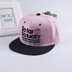 China supplier 3D Embroidery Snapback Cap