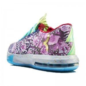 KD 6 What The KD Sport Shoes History