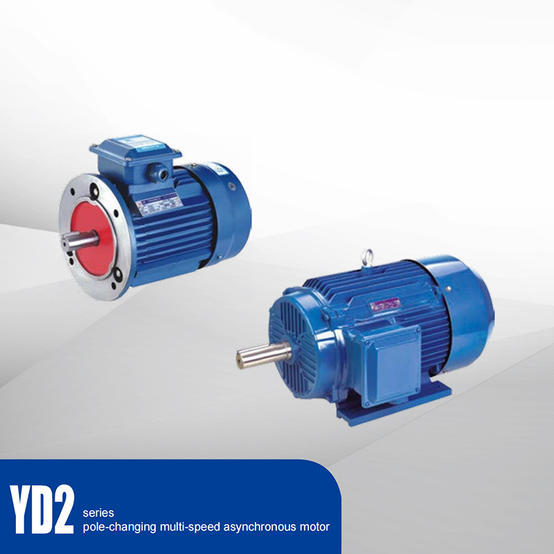 YD2 series pole-changing multi-speed asynchronous motor Featured Image