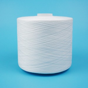 Tlase Shrinkage 100% Polyester Sewing Thread Textile 42/2/3