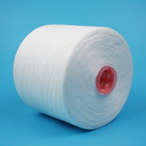 100% Virgin High Tenacity Spun Polyester Thread 52/2 ສໍາລັບການຕັດຫຍິບແລະຖັກແສ່ວ