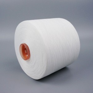 Moetsi 20s/2 High Quality Polyester Khoele e Dyed 5000yds 100% Polyester Spun Thread bakeng sa Indasteri ea Liaparo