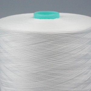 100% gesponnen Polyester Bitzmaschin thread 40/2