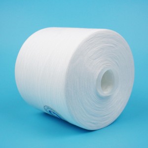 စိတ်အားထက်သန်မှု မြင့်မားသော polyester core ပတ်ချာလည်ချည် 16/2/3 28/2/3 40/2 45/2