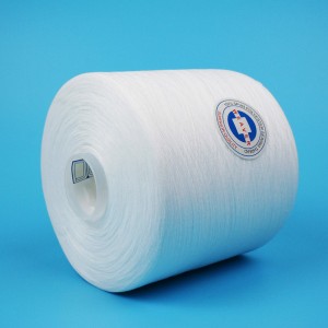 Hoë kwaliteit 100% gesponnen polyester naaldwerkgaring 62s/3 RW SD TFO