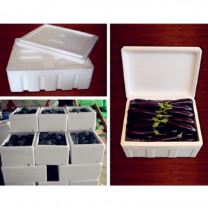 ईपीएस फोम फ्रूट फिश बॉक्स मोल्ड