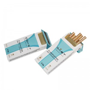 Zilā papīra iepakojuma cigarešu iepakojuma kaste 10 iepakojums