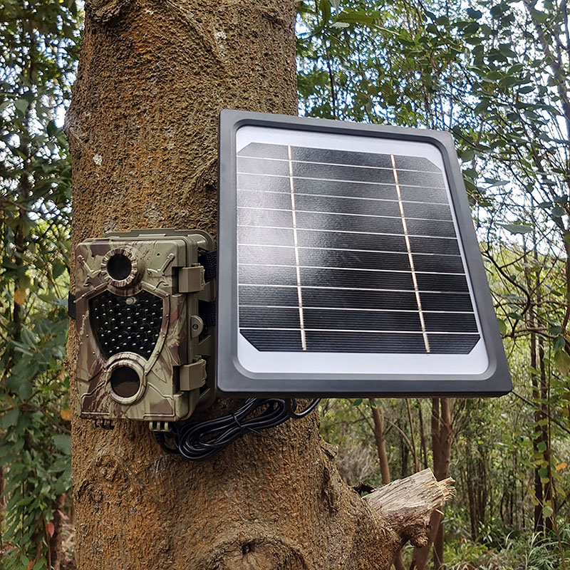 The Best Cellular Trail Cameras of 2024, Tested and Reviewed
