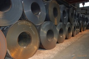 China Wholesale Stainless Steel Manufacturers - Q355d steel plate – Wenyue