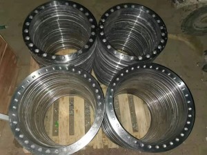 China Wholesale Slip On Flange Factories - High quality Flange factory  – Wenyue