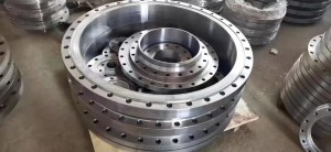Flange stainless steel