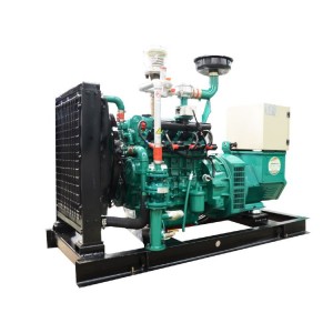 Produkspesifikasies vir 30 KW Aardgas / Biogas Generator