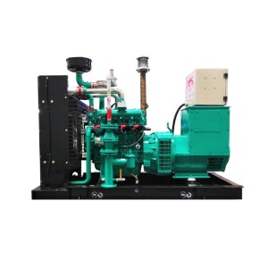 Specyfikacja produktu dla generatora gazu ziemnego / biogazu o mocy 50 kW