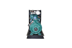 IS150-125-400 diesel waterpomp
