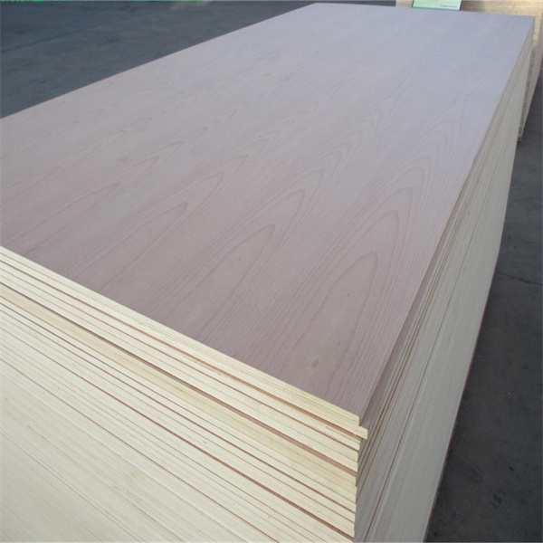 Beech plywood កម្រាស់ 4ftx8ft ពី 3mm-35mm