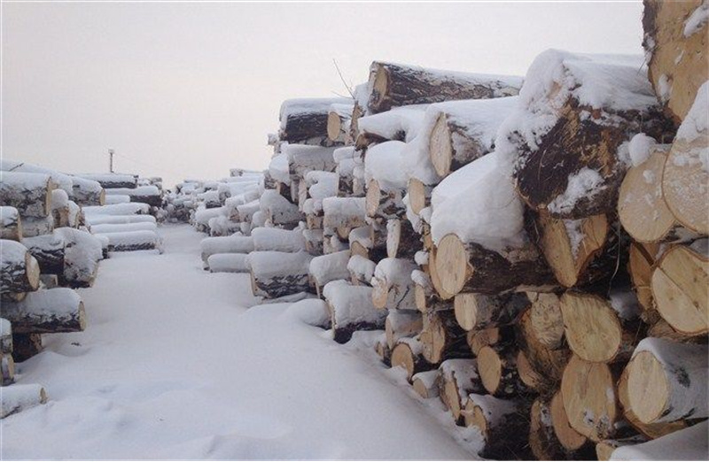 Baltic birch plywood (2)