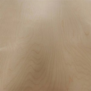 Shandong birch ប្រឈមមុខនឹង plywood 3-35mm poplar/eucalyptus ស្នូល plywood សម្រាប់គ្រឿងសង្ហារឹម / សំណង់
