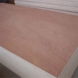 Bintangor-Sperrholz aus tropischem Hartholz von höchster Qualität für die Herstellung von Möbeln und Innendekorationen.