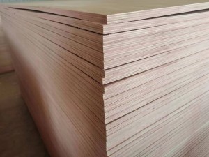 Okoume Marine Plywood pepa 4ftx8ft