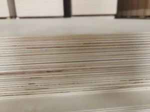 Plywood decuria Commercial Poplar 1220x2440mm