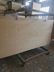 Baltic Birch Plywood 4ft x 8ft 1220x2440x12mm CDDE kalasi