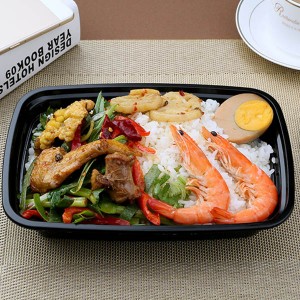 American Rectangular Lunch Box 750ML