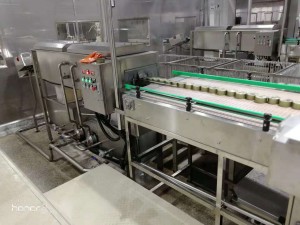 Whole Line solution for canned beans Production Line factory Supply