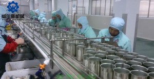 Canned Mackerel fish Production line