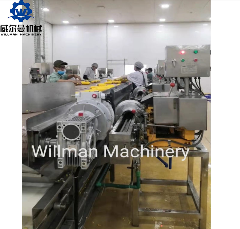 canned sweet corn production line/sweet corn canning production line factory supply Featured Image