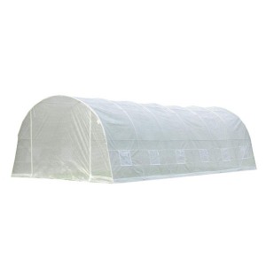 White PE Plastic Tunnel Greenhouse 8x3x2m