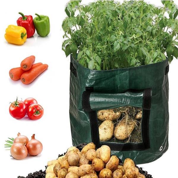 Reusable and Durable PE potato grow bag 10 Gallon Featured Image