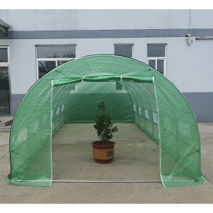 Agricultural Plastic Garden Walk-in Greenhouse 6 x 3 Meter