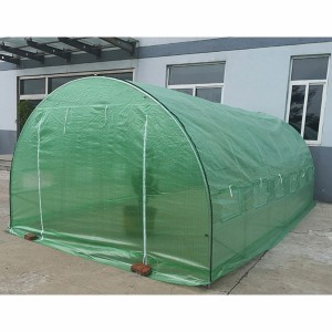 Agricultural Plastic Garden Walk-in Greenhouse 6 x 3 Meter