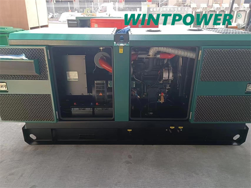 चीन इंजन ब्रांड यांगडोंग जनरेटर सेट के लिए WINTPOWER सुपर मूक प्रकार डीजल जनरेटर