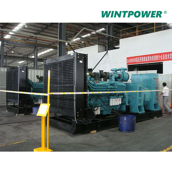 WT High Voltage Generator Set Medium Voltage Generator