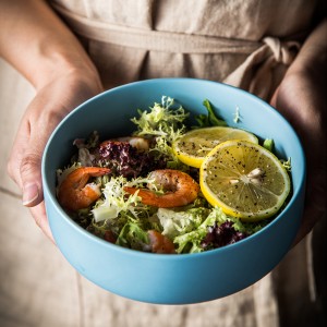 Керамичке чиније Порцеланска чинија за супу у нордијском стилу 4,5/6 инча пигментиране чиније за салату или пиринач