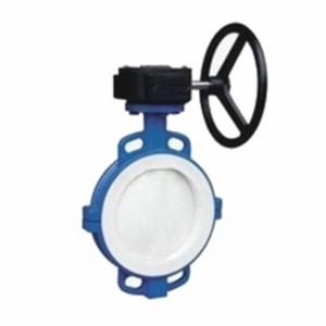 Quality Wafer End Connection Papilio Valve