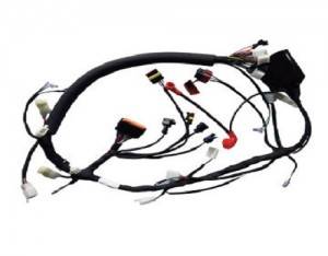 Wholesale Dealers of Car Door Wire Harness - Motorcysle Wire Harness Cable Assembly – Olink