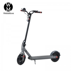 10 Inch 500W Electric Scooter