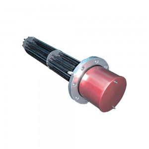 Industrial flange immersion heater