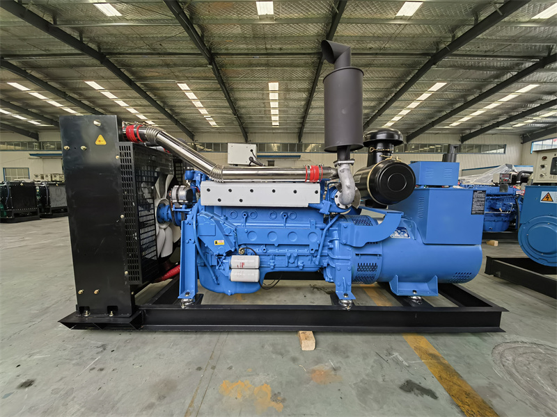 Systemunderhåll av dieselgenerator
