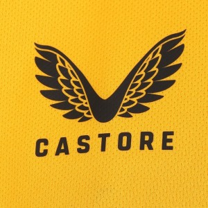 Wolves Soccer Jersey Home Replica 2021/22